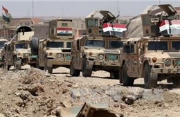 Iraq giải phóng một khu vực rộng lớn ở phía Tây Mosul